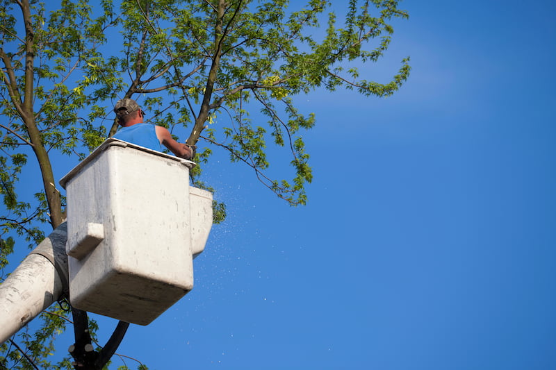 Bucket Truck Services